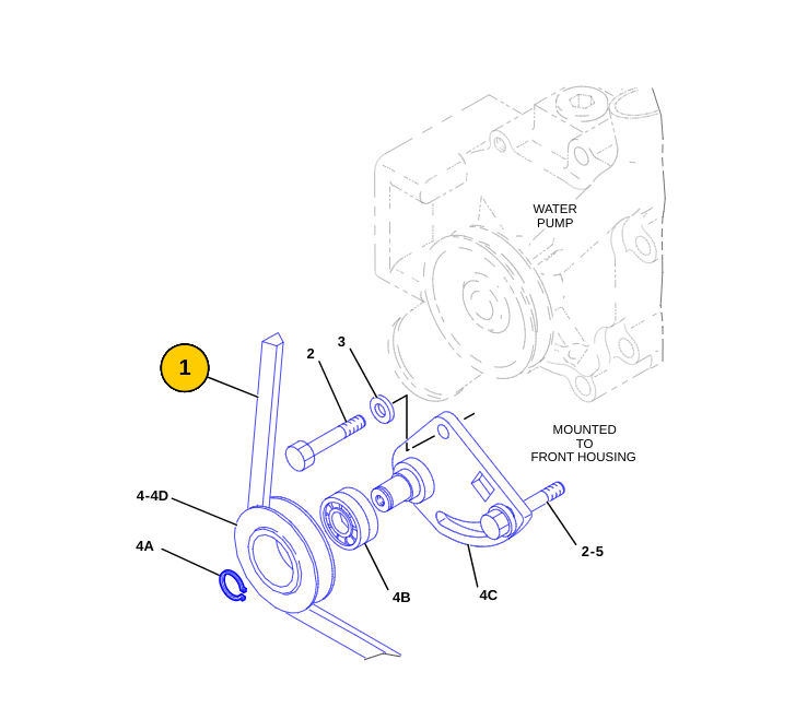 PODER DEL ANILLO, 036-6775: CORREA VEE